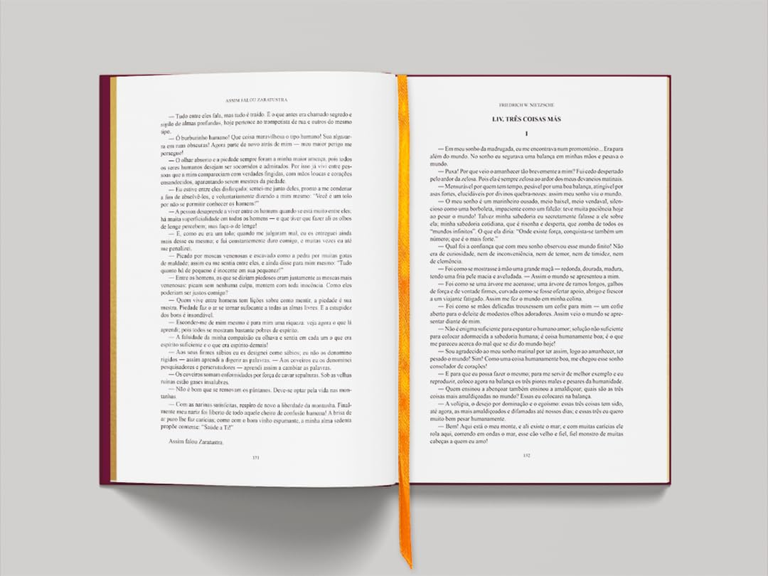 Páginas internas do livro